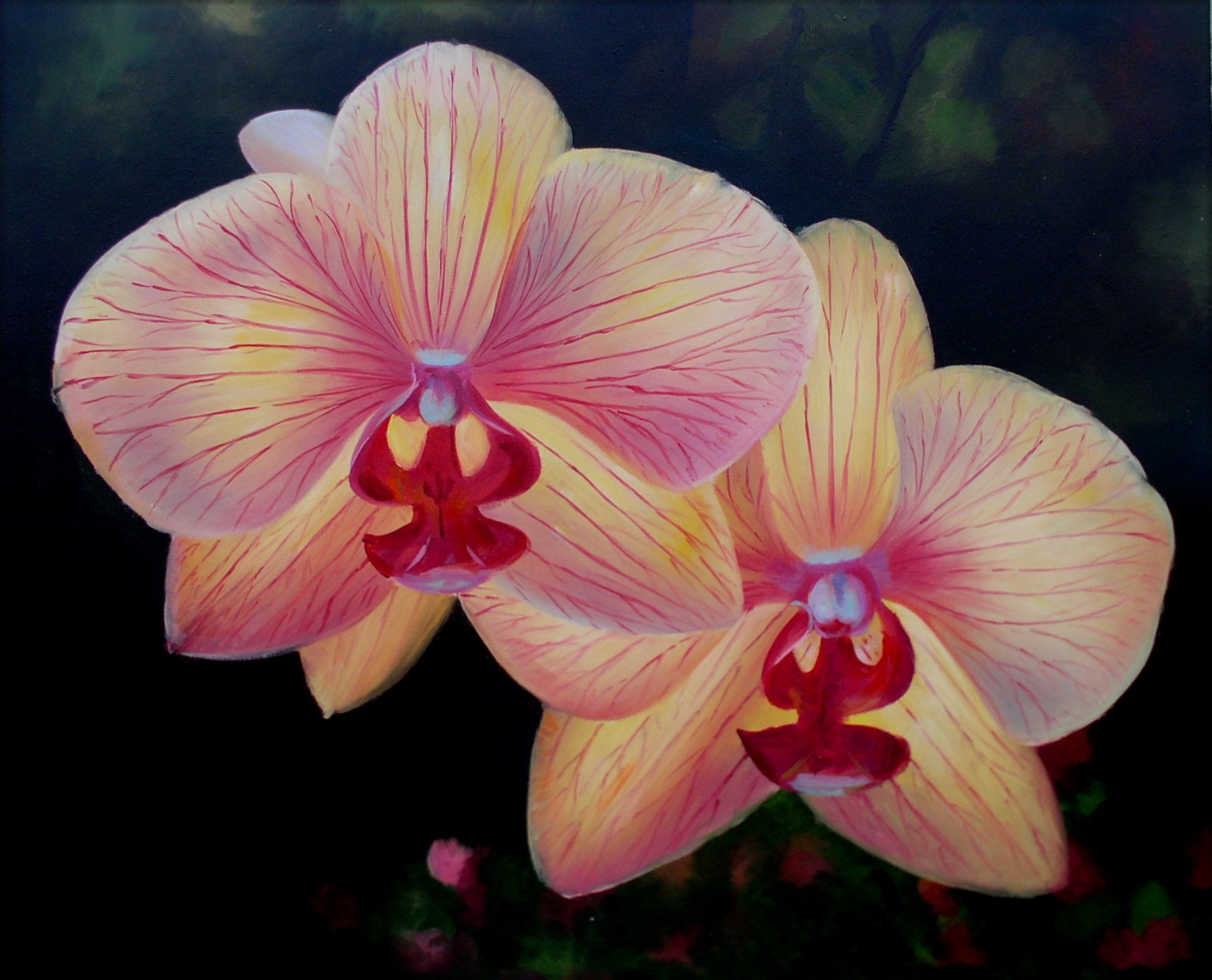 Quality Hand Painted Oil Painting Pink/Yellow Orchids 20x24in eBay