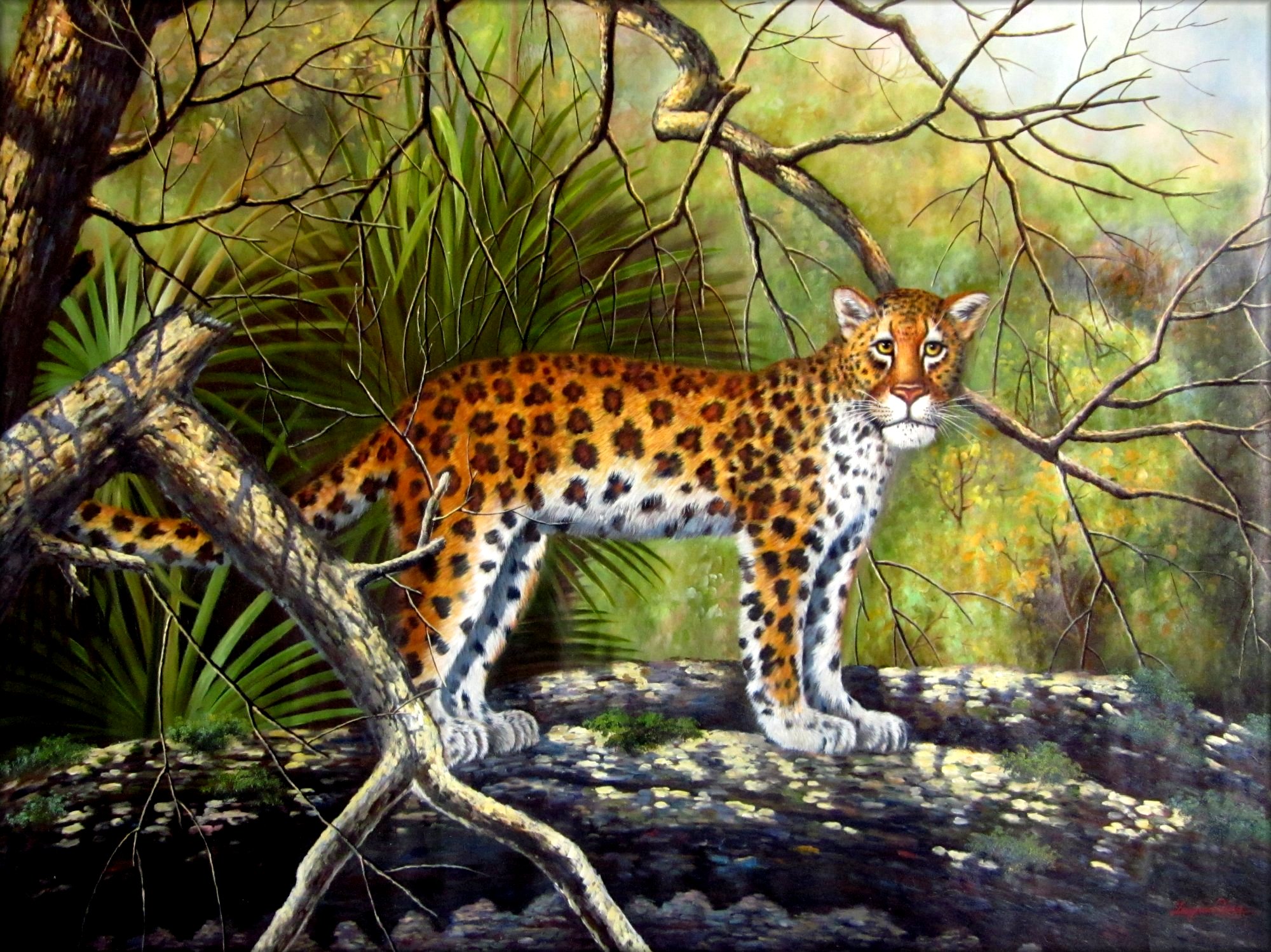Stretched Quality Hand Painted Oil Painting The Leopard 36x48in eBay